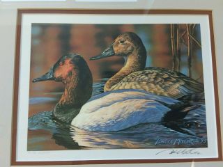 1994 Federal Duck Stamp & Print Framed Ducks Unlimited 114/5000 Bruce Miller 2
