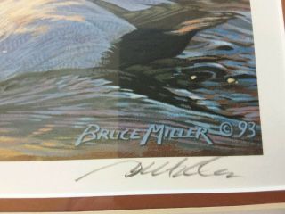 1994 Federal Duck Stamp & Print Framed Ducks Unlimited 114/5000 Bruce Miller 4