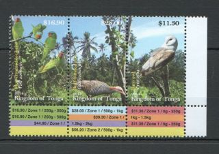 U16 2014 Tonga Fauna Birds Owls Parrots Michel 73 Euro 1set Mnh