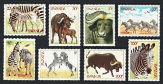 Rwanda Zebras And Buffaloes 8v Mnh Sg 1210 - 1217 Sc 1199 - 1206 CvÂ£9.  95