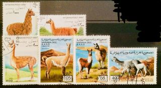 Llamas Alpaca Animals Wildlife Thematic Topic Stamps Educational 10120619