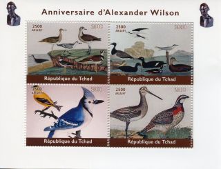 Chad 2018 Mnh Alexander Wilson Ornithologist 4v M/s Natural History Birds Stamps