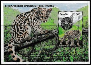 Zambia 1997 Mnh Sc 665 Ms Endangered Species Margay Cat Mint/never Hinged