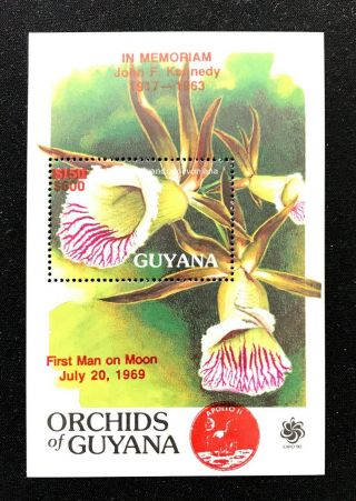 1 Guyana Sheet Perforated With Red Overprinted With Space And Flora