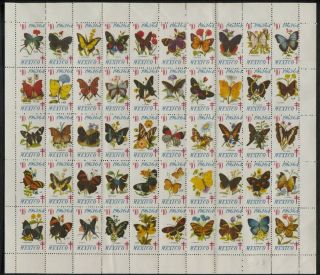 Mexico Tb Christmas Seals 1963 - 64 Full Sheet Of 50 Butterflies