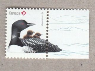 Duck = Regal Common Loon =souvenir Sheet Stamp W/tab Birds Of Canada 2017 Mnh - Vf