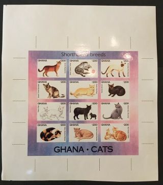 Ghana 1994 Cats Sheet Of 12 M.  N.  H.