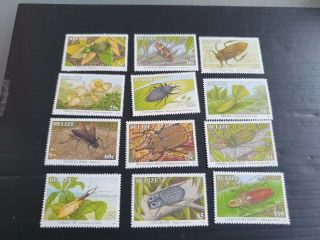 Belize 1996 Sg 1170b - 1181b With Imprint Date Insects.  Mnh