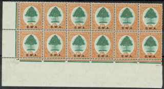 South West Africa 1927 Orange Tree 6d Block Stamps Mnh