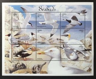 Liberia Seabirds Stamps Sheet 1999 Mnh Bird Wildlife Landscape Marine Gull Goose