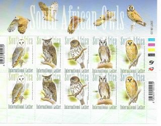 South Africa 2007 Owls Sheet Of 10 Nh
