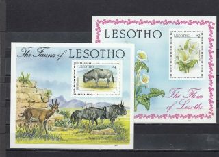 A93 - Lesotho - Sgms774 Mnh 1987 Pig - Lily & Wildebeest - Flora & Fauna