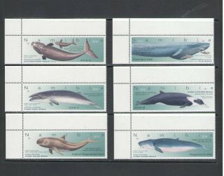 Namibia: 2019 Issue / W H A L E S / Set Of 6 / Mnh