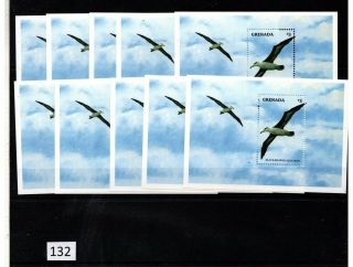 ,  10x Grenada - Mnh - Birds - Albatross -