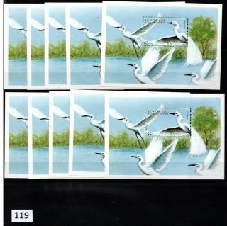 ,  10x St.  Vincent And The Grenadines - Mnh - Birds -