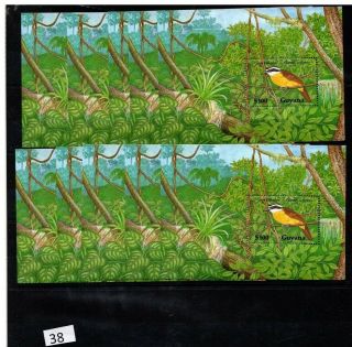 == 10x Guyana - Mnh - Flora - Nature - Birds -