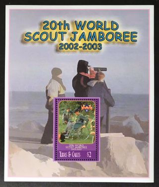 Turks & Caicos 20th World Scout Jamboree Stamps S/s Thailand 2002 Mnh Boy Scouts
