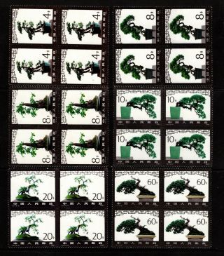 1981 China Sc 1665 - 1670 Miniature Trees Set Blocks Of 4 Nh,  Scv $105.  00