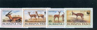 Burkina Faso 1993 Scott 970 - 3 Lh