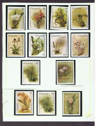 Guyana 1980s Reichenbachia Orchids Series & 2 13 Plates To 390 Mnh