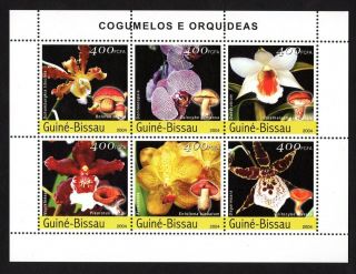 Guine Bissau 2004 Sheet W/ Stamps Mi 2734 - 2739 Mnh Cv= 9.  50€