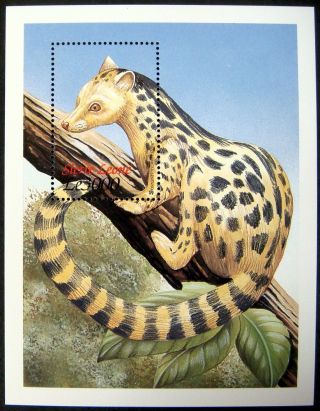 1999 Mnh Sierra Leone Wild Animals Stamps Souvenir Sheet West African Linsang