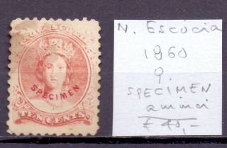 Nova Scotia 1860.  Specimen Thin Spot Stamp.  Yt 9.  €40.  00