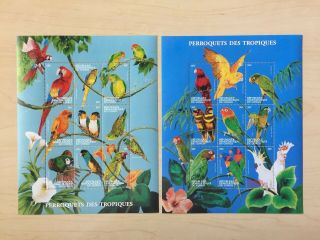 Congo 2000 Birds Parrots Sheets Mnh