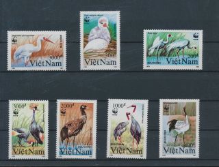 Lk55439 Vietnam Wwf 1991 Animals Fauna Birds Fine Lot Mnh