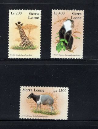 Sierra Leone 2002 Animals Giraffe L 
