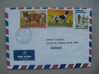 Car Central African Rep. ,  Cover To Belgium 1987,  Cat Dog Cycle - Racing Bicycle