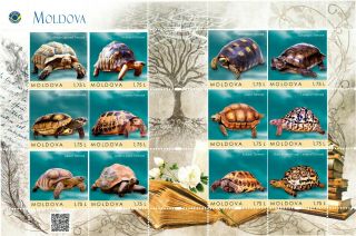 Moldova 2018,  Fauna,  Giant Tortoises,  Sheetlet Of 12v