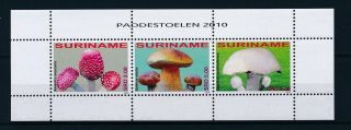 [su1695] Suriname Surinam 2010 Mushrooms Pilze Champignons Souvenir Sheet Mnh