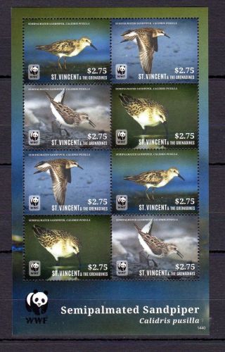 St.  Vincent 2014 Birds Wwf Sandpiper Fauna Stamps Mnh G106