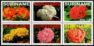 ✔️ Suriname 2008 - Flora Flowers - Mi.  2254/2259 Mnh Og