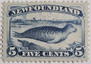 Newfoundland 55: F/vf Mh 5 - Cents Harp Seal Issue