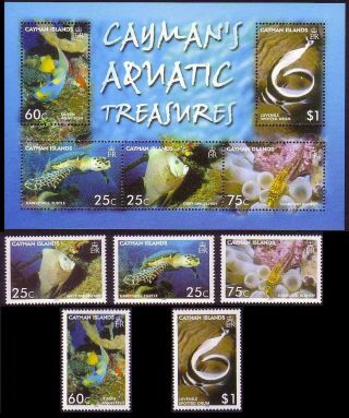 Cayman Is.  Fish Turtle Aquatic Treasures 5v,  Ms Mnh Sg 1098 - Ms1103
