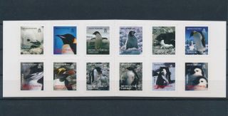 Lk79740 British Antarctic Territory Penguins Animals Birds Good Sheet Mnh