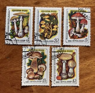Vintage Bulk Of 5 Stamps Russian Stamps Poison Mushrooms1986 Soviet Stamps