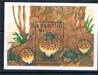 Lesotho 1989 Fungi Ms Sg 904 Mnh