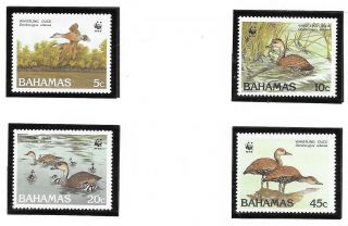 Bahamas Sc 645 - 8 Nh Issue Of 1988 - Wwf - Birds - Ducks