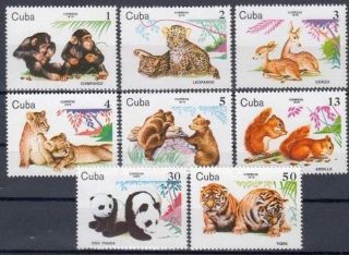 4cuba Sc 2291 - 2298 Zoo Animals Tiger Panda Monkey Bear Cpl Set Of 8 1979 Mnh