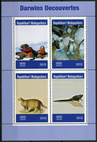 Madagascar 2019 Mnh Charles Darwin Discoveries 4v M/s Birds Lizards Stamps
