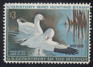 Tdstamps: Us Federal Duck Stamps Scott Rw37 $3.  00 Ng