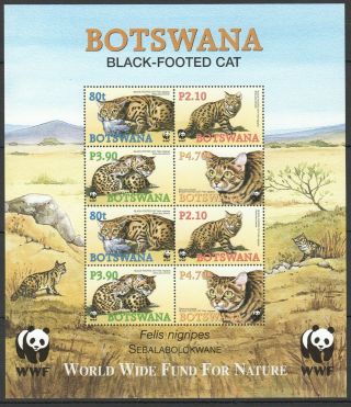 D1161 Botswana Wwf Wild Animals Black - Footed Cat 1sh Mnh