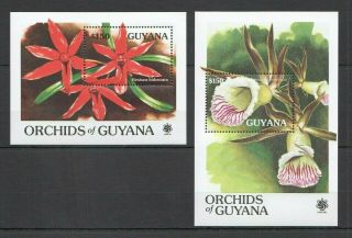 C1471 1990 Guyana Flora Nature Flowers Orchids Of Guyana 2bl Mnh