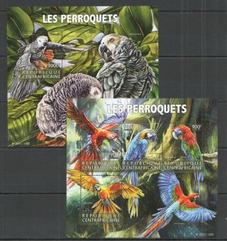 Ca206 2015 Central Africa Fauna Birds Parrots Les Perroquets Kb,  Bl Mnh
