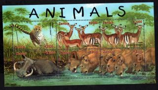 Zambia 2001 Sheet Of 6 Stamps Mi 1264 - 1269 Mnh Cv=10€