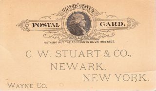 U.  S.  A. ,  1900? 1c Postal Card To C.  W.  Stuart & Co,  Newark,  York