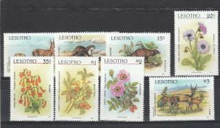 A93 - Lesotho - Sg766 - 773 Mnh 1987 Flora & Fauna
